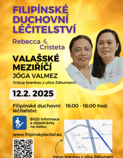 Plakát léčení - 12.2.2025 - Valašské Meziříčí