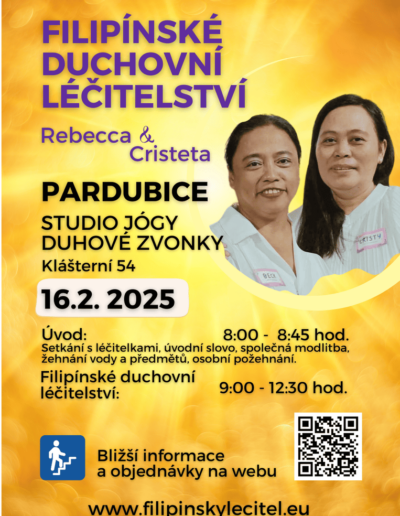 Plakát léčení - 16.2.2025 - Pardubice